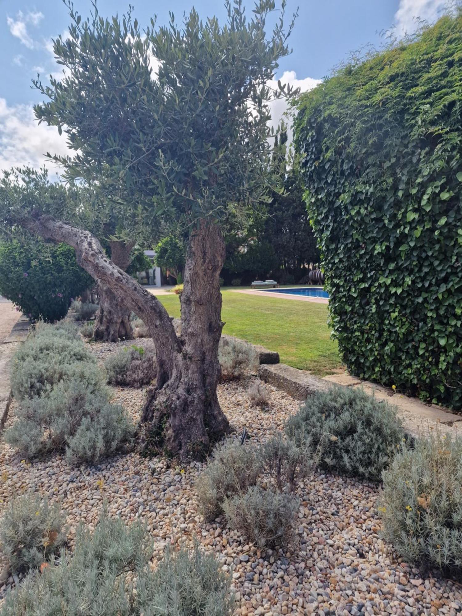 Casa Nikana Turcifal Buitenkant foto